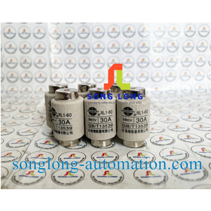 CẦU CHÌ ZHENGRONG RL1-60 30A