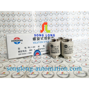 CẦU CHÌ ZHENGRONG RL1-60 30A