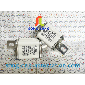 CẦU CHÌ RS0 300A