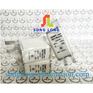 CẦU CHÌ CHINT RS711B (NGT00) 25A