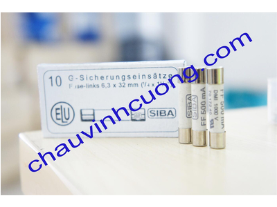 CẦU CHÌ SIBA FF 500 mA 70 172 40