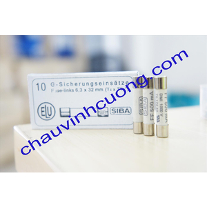 CẦU CHÌ SIBA FF 500 mA 70 172 40