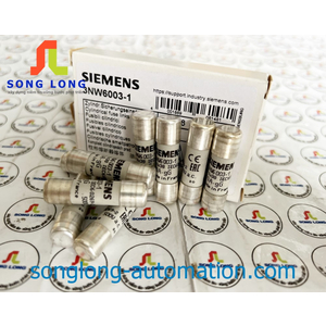 CẦU CHÌ SIEMENS 3NW6003-1