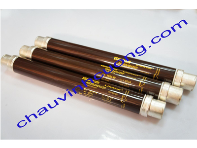 Cầu chì trung thế 24kV 25A Ferraz Shawmut 45DB240V25P
