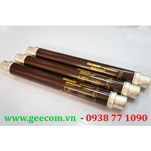 Cầu Chì Trung Thế Ferraz Shawmut 24kV 20A