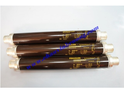 Cầu chì trung thế 24kV Ferraz Shawmut 45DB240V80P