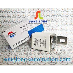 CẦU CHÌ ZHENGRONG RS0 250A