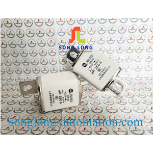 CẦU CHÌ ZHENGRONG RS0 250A