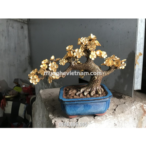 Cây mai mạ vàng 24k làm quà tặng để bàn và quà tết