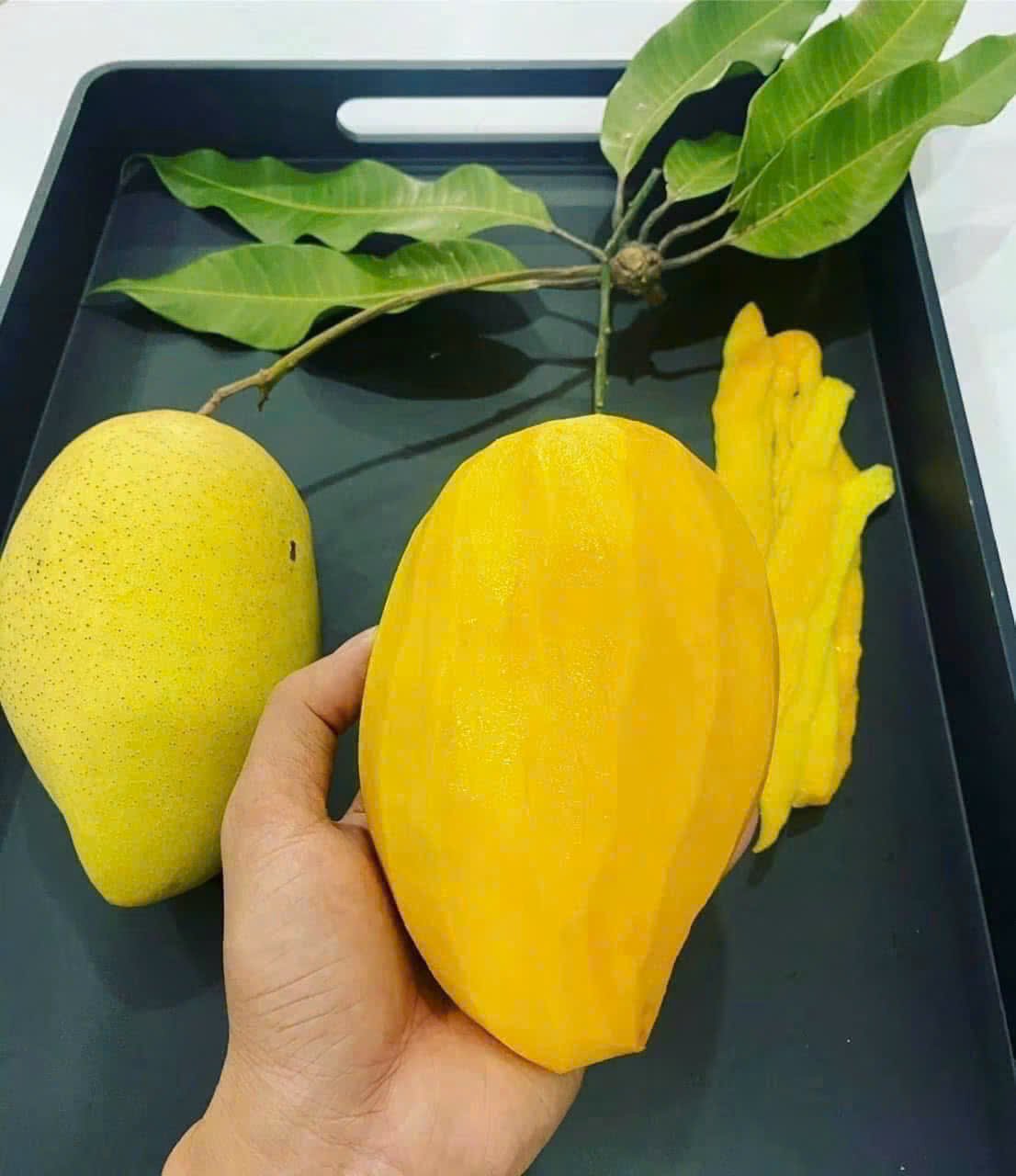 XOÀI CÁT HÒA LỘC Ủ CHÍN VIETGAP