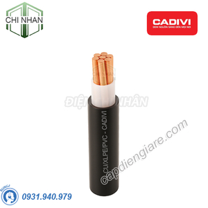 Dây cáp điện 1 lõi Cadivi CXV-1.5 mm2 – 0.6/1kV Cu/XLPE/PVC - 56001696