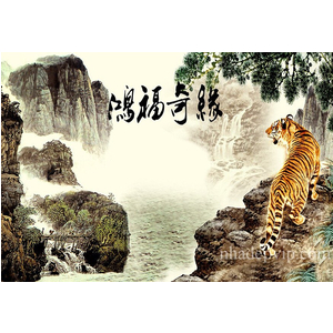 Gạch 3D mẫu CH04