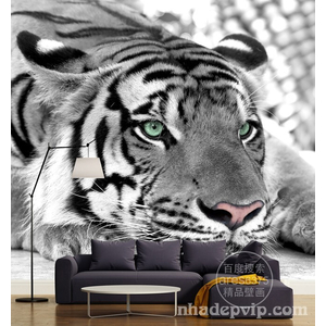 Gạch 3D mẫu CH06