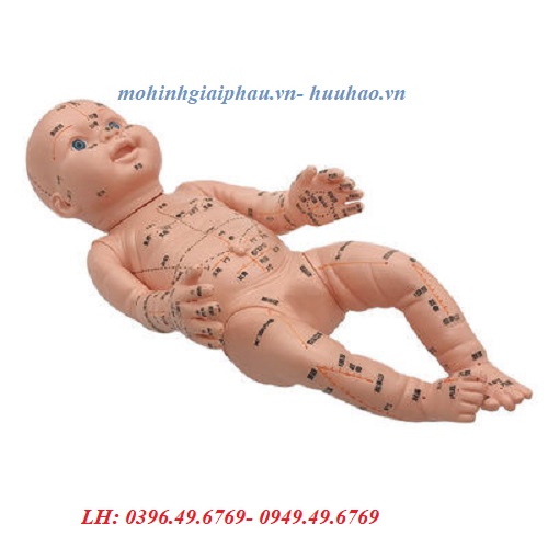 Mô hình thực hành châm cứu trên trẻ nhỏ