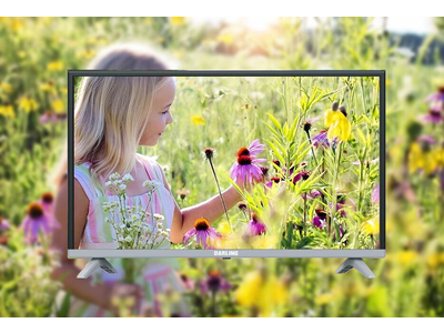 SMART TIVI DARLING 55 INCH