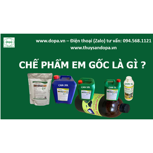 CHẾ PHẨM EM GỐC LÀ GÌ? MUA BÁN CHẾ PHẨM EM GỐC Ở ĐÂU UY TÍN TỐT NHẤT?