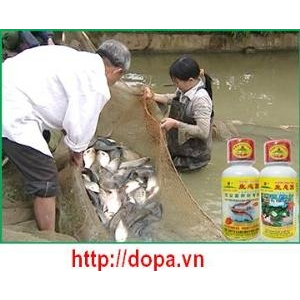 Chế Phẩm Sinh Học Vườn Sinh Thái Cho Thủy Sản