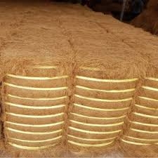 CHỈ XƠ DỪA