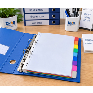 Chia file nhựa 10 màu