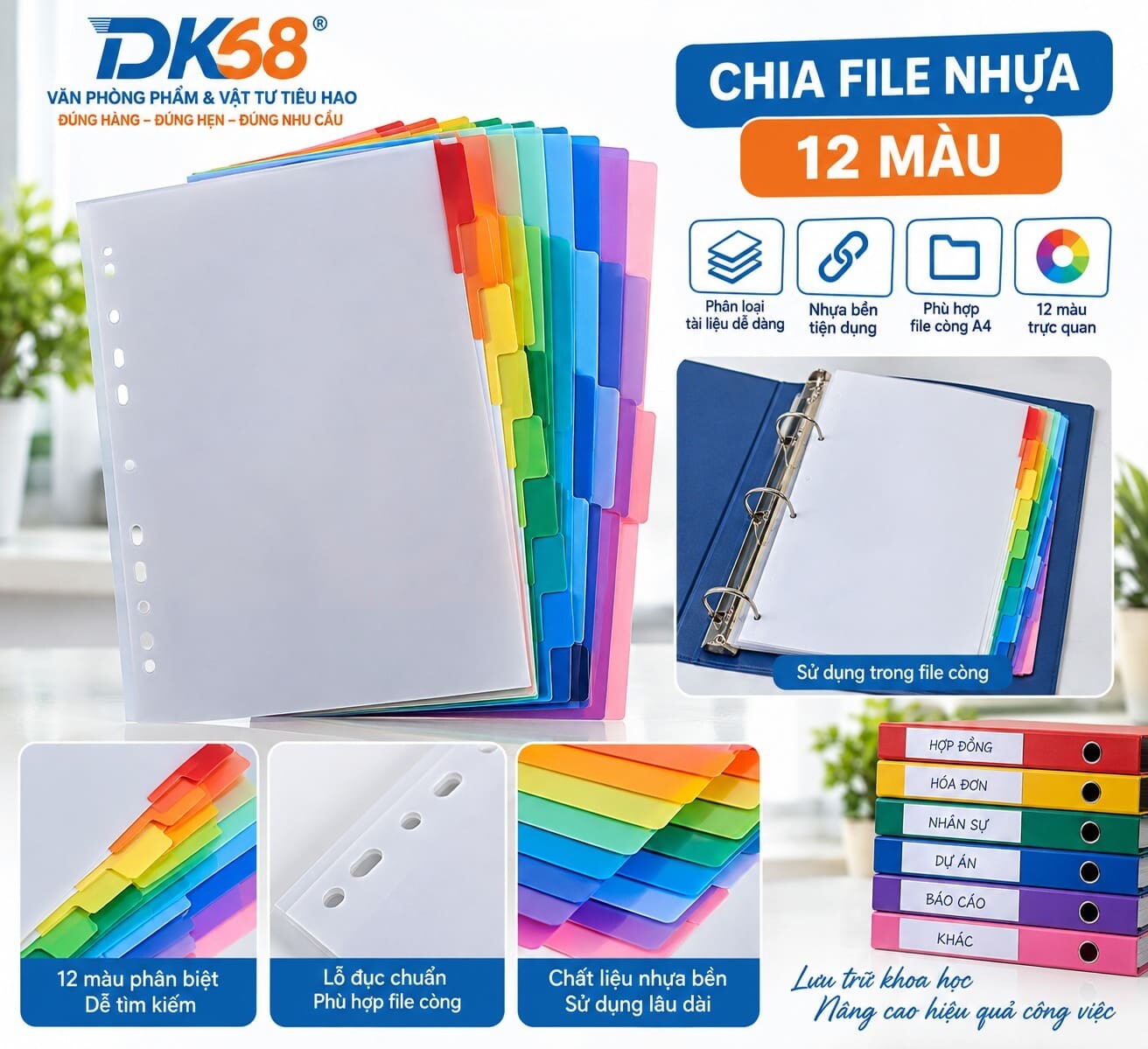 Chia file nhựa 12 màu