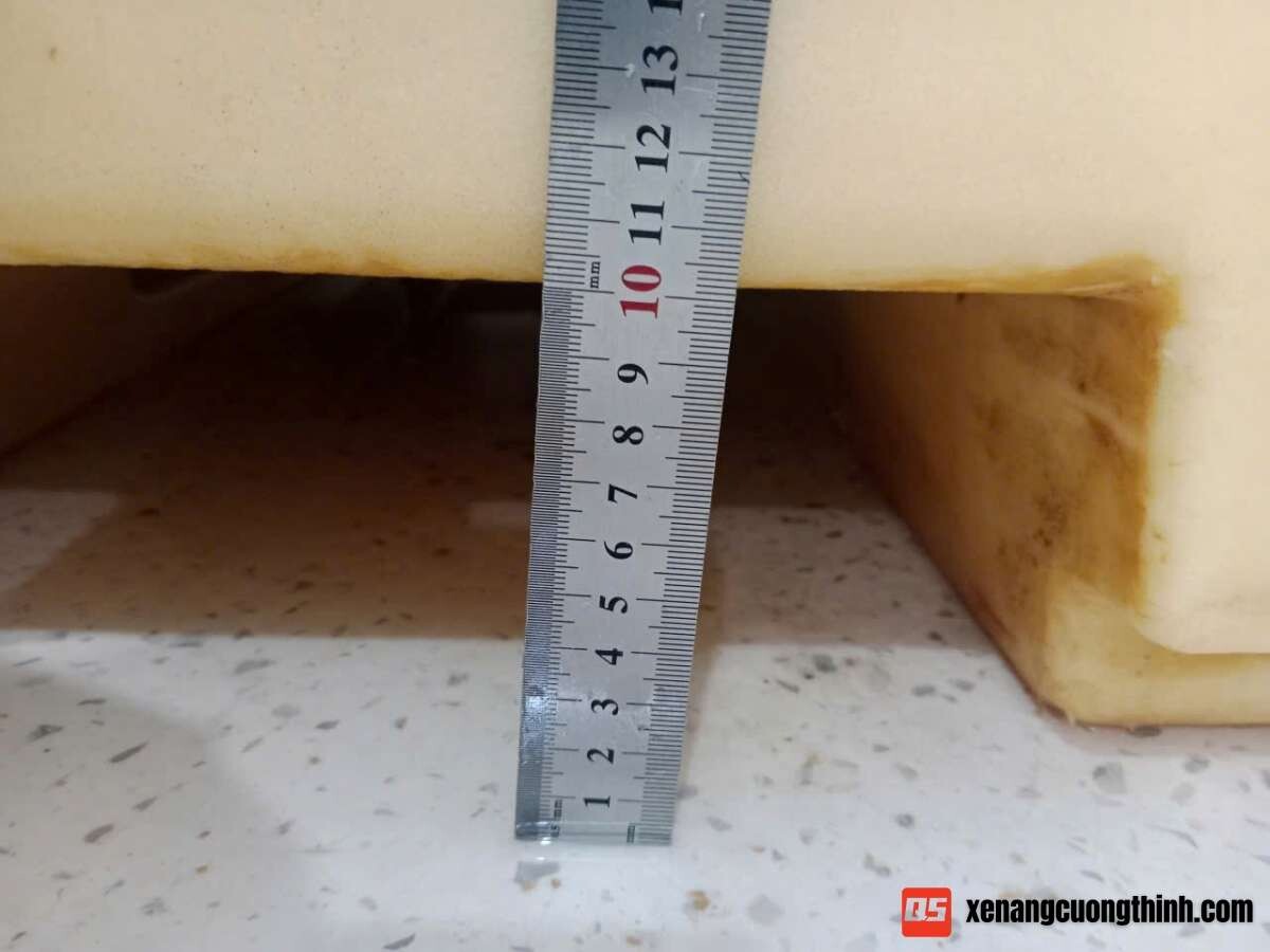 Bàn Giao Xe Nâng Tay Inox Kho Lạnh - Kho Thủy Sản