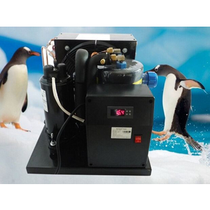 Chiller hồ cá 1000 lít công suất 1 HP