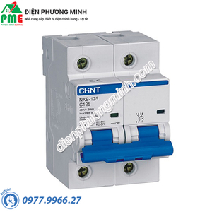 Cầu dao tự động MCB Chint NXB-125 125A 10KA 2P