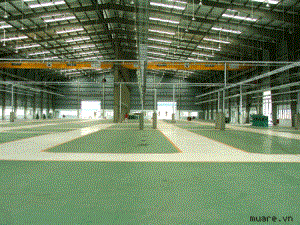 Cho Thuê Kho Xưởng 5.000m2 Trong Khu Công Nghiệp Quận Tân Bình giá rất rẻ