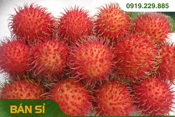 CHÔM CHÔM NHÃN (thùng 9,5kg)