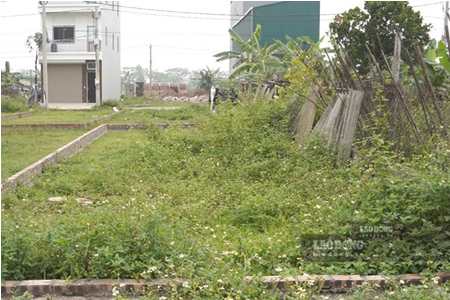 Chuyển Đất Lên Thổ Cư: Hạn Mức Giao Đất Ở Được Tính Như Thế Nào?