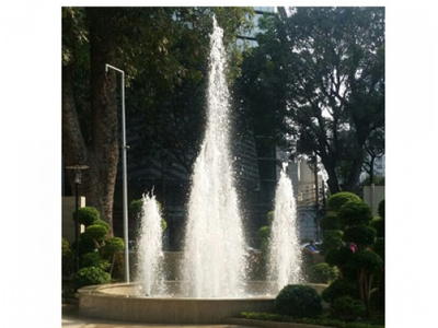 Vòi phun hình cây thông Ø 49