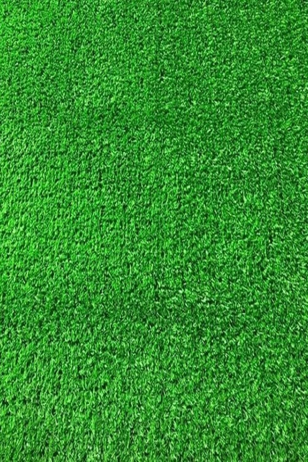 Thảm cỏ nhân tạo sân vườn lá tươi 10mm C1C48 HM0