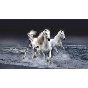 Gạch 3d ốp tường CN016