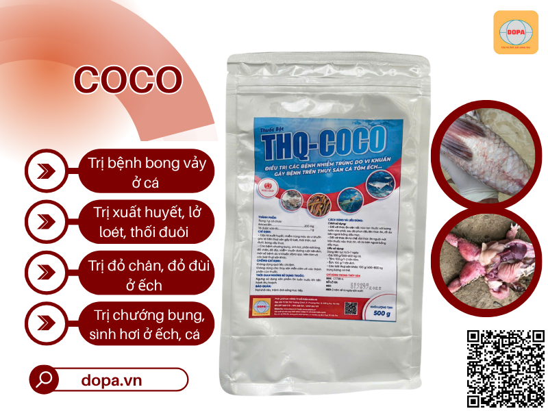 COCO ( 500G ) - Thuốc Đặc Trị Nhiễm Trùng Kháng Sinh Cho Cá Nước Ngọt, Tôm, Ếch Hiệu Quả