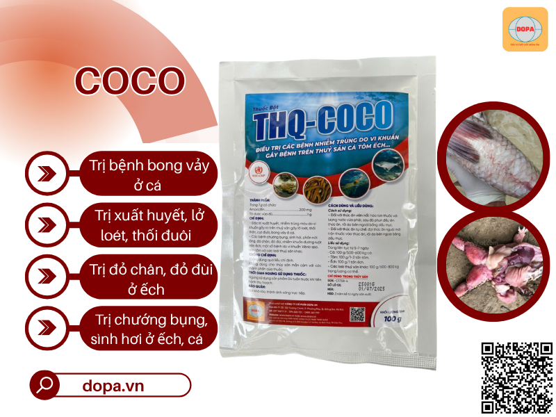 COCO ( 100G ) - Thuốc Đặc Trị Nhiễm Trùng Kháng Sinh Cho Cá Nước Ngọt, Tôm, Ếch Hiệu Quả