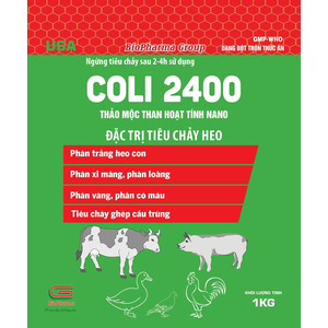 COLI2400