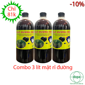 COMBO 3 LÍT MẬT RỈ ĐƯỜNG ( MẬT MÍA )
