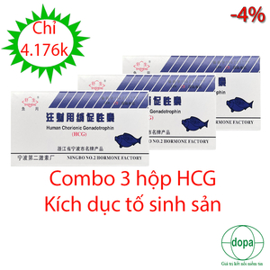 COMBO 3 HỘP HCG TÍM KÍCH DỤC TỐ SINH SẢN CHO CÁ