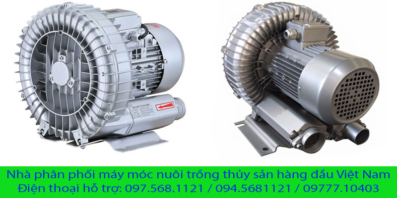 Vỉ khuếch tán Oxy Fi 60 cho hệ thống Oxy đáy mịn màng #48 Vỉ khuếch tán Oxy Fi 60 cho hệ thống Oxy đáy mịn màng