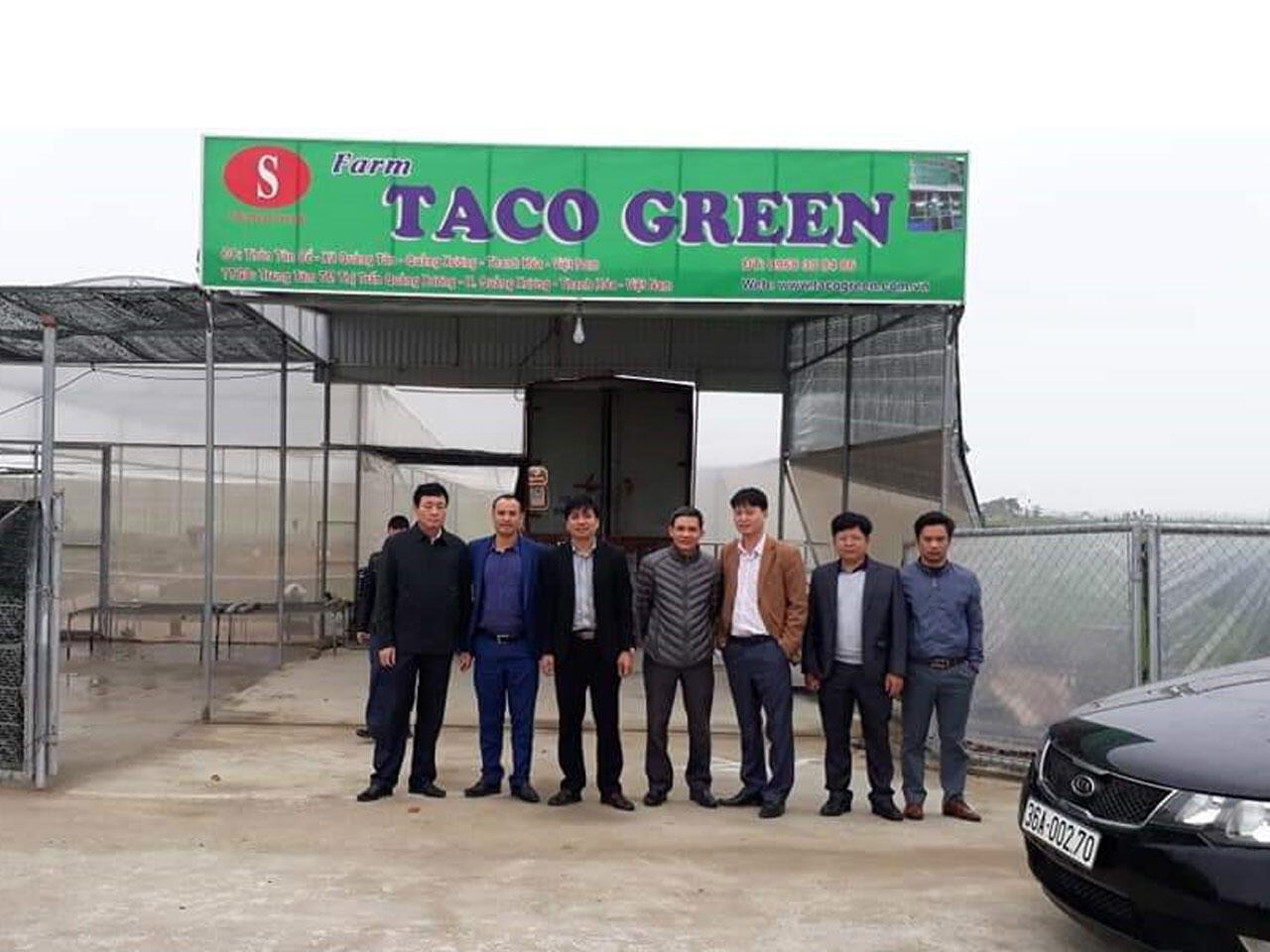 Công Ty Taco Green Hình 4