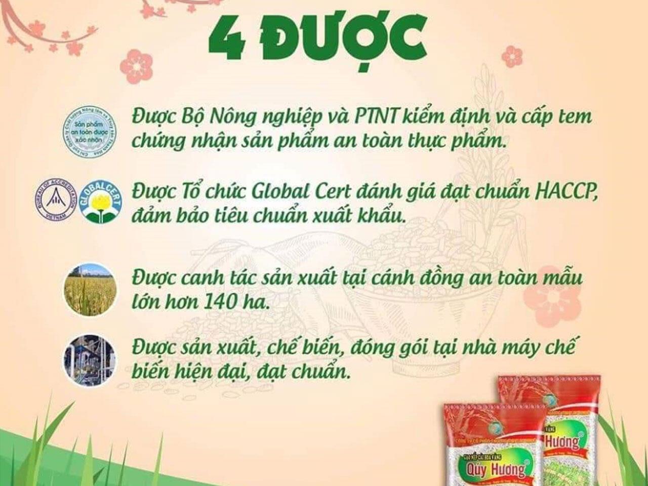 Công Ty Taco Green Hình 5