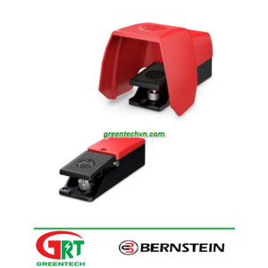 D series | Bernstein D series | Công tắc chân | Control foot switch D series | Bernstein Vietnam