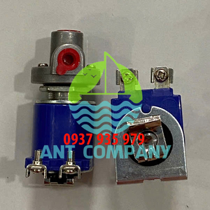 Control Valve GOYEN RCA3D2 DC 24V