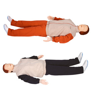 Tổng hợp 88+ hình về mô hình cấu tạo phổi nhân tạo 45 mô hình giải phẫu hệ hô hấp tim thanh quản Thiết Bị Y Tế thietbiyte