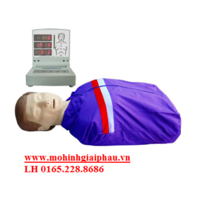 Mô hình CPR sơ cứu bán thân có modul hiển thị