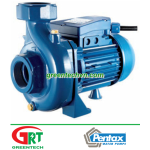 Bơm nước Pentax CR 100 | Pentax Vietnam