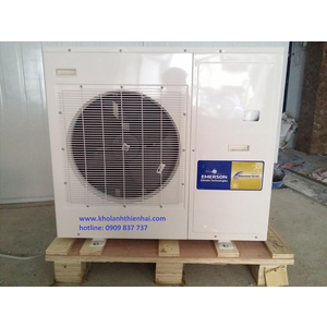 CỤM MÁY NÉN DÀN NGƯNG EMERSON ZX050BE-TFD - 451