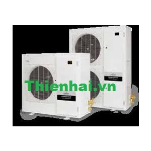 CỤM MÁY NÉN DÀN NGƯNG EMERSON ZXL030BE TFD 451