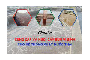 Cung cấp và nuôi cấy bùn vi sinh