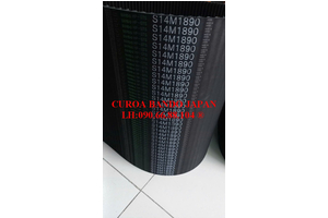 Dây CUROA BANDO S14M1890